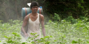 Cotton_farmer